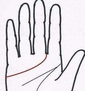 怎样通过手相看命运