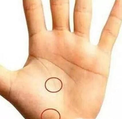 怎样通过手相看命运