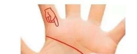 怎样通过手相看命运