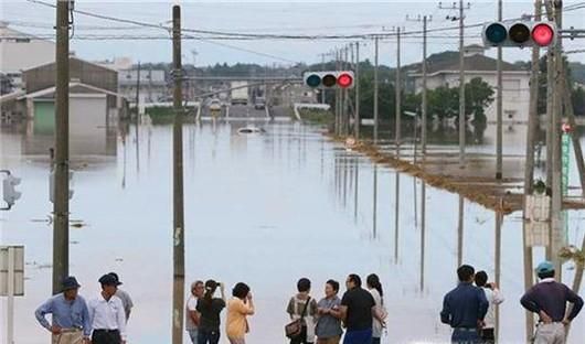 突遇暴雨天气怎么办？暴雨天气出行要注意什么？
