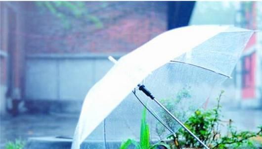 突遇暴雨天气怎么办？暴雨天气出行要注意什么？