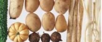 吃什么食物比较耐饿？