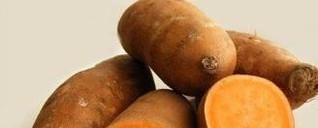 吃什么食物比较耐饿？