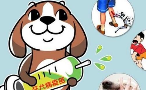 被动物咬了是不是一定要打针 狂犬病打针多少钱