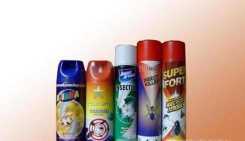 怎样能消灭蚂蚁