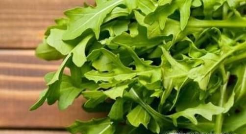 冰箱里不适合放什么食物