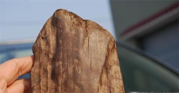 一字之差，天壤之别：沉香与沉香木