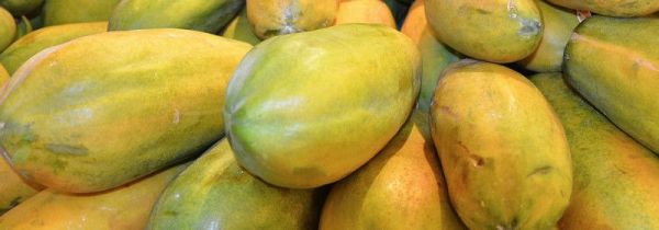 木瓜怎么判断是否熟了