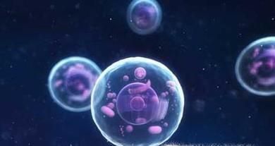 细胞的全能性的性质