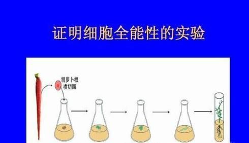 细胞的全能性的性质