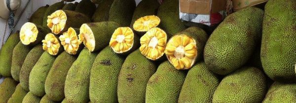 如何知道菠萝蜜是否熟了