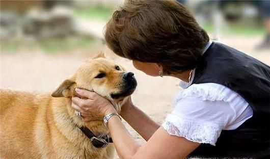 遭遇恶犬怎么办?被恶犬咬后如何解除危机?