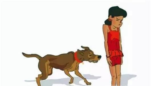 遭遇恶犬怎么办?被恶犬咬后如何解除危机?