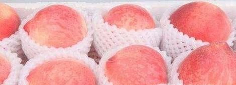 水蜜桃怎么保存