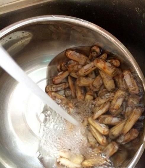 蛏子怎么洗？