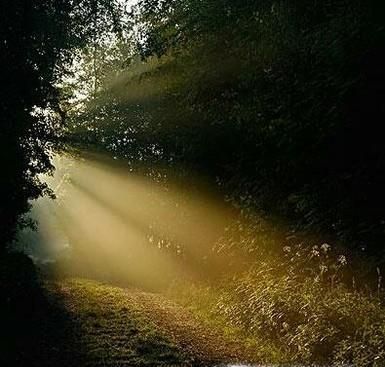 如何正确学习，每天学习的最佳时间