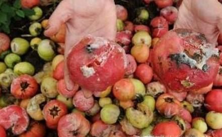 烂了一点点的水果，还能吃吗？