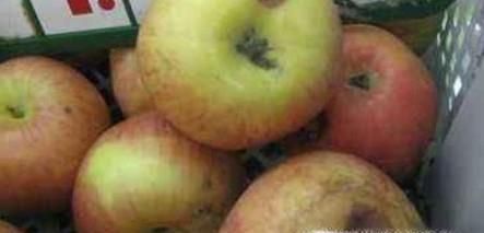 烂了一点点的水果，还能吃吗？