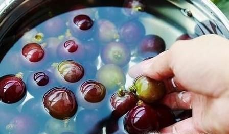 怎样洗葡萄干净又卫生