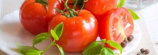 西红柿可以和基围虾一起炒吗