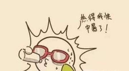 入伏后，要注意什么？