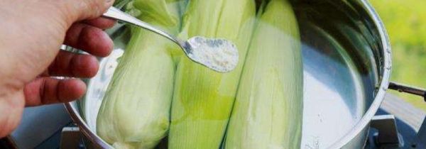 煮玉米应该用冷水还是热水