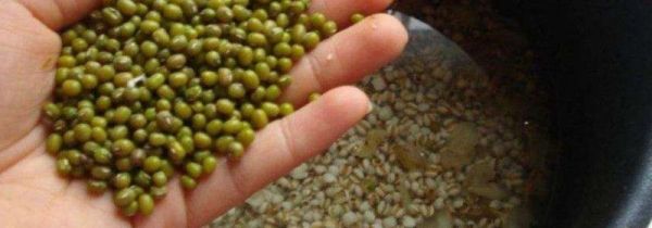 煮绿豆应该用冷水还是热水