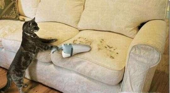 皮沙发怎么清洗，清洗皮沙发的方法有哪些窍门