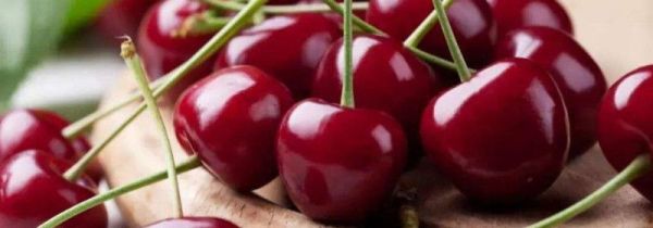 樱桃洗了可以放多久