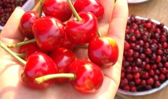 樱桃洗了可以放多久