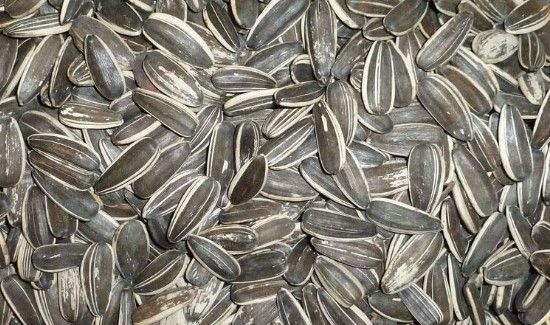 葵瓜子的功效与作用及禁忌