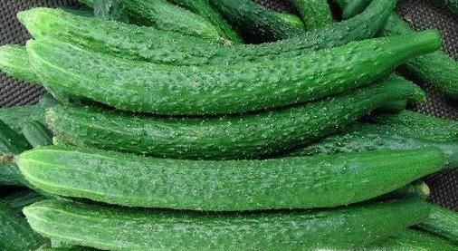 炎炎夏天吃什么菜好呢