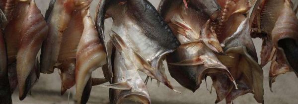 腌制的鱼臭了还能吃吗