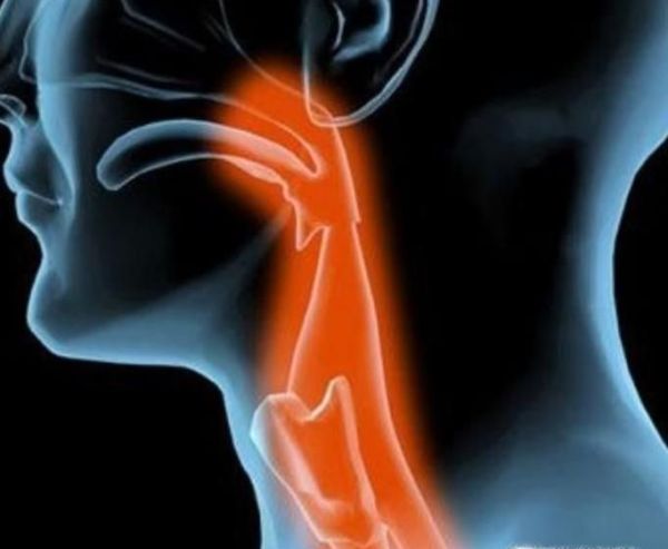 喝啤酒的有哪些坏处