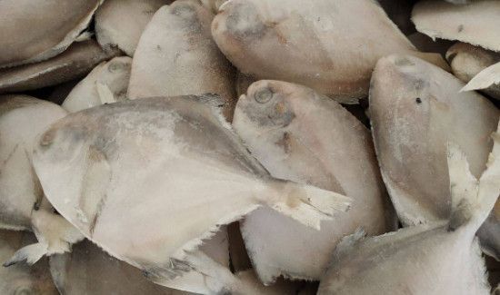 鱼冷冻之前要不要洗