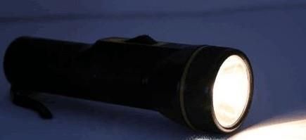 夏天如何抓金蝉？