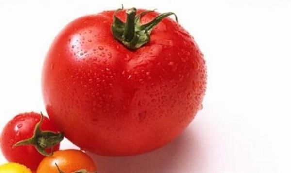 生吃西红柿的好处和坏处