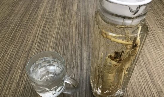 人参可以泡水喝吗