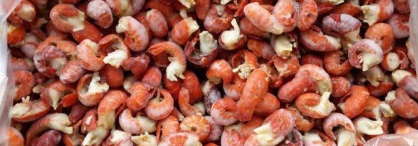 龙虾尾怎么保存到冬天