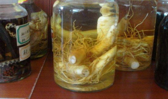 人参可以泡水喝吗