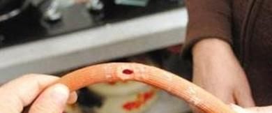 如何安全使用燃气灶