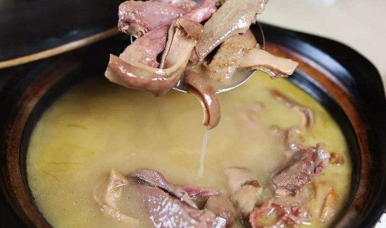 鸽子肉的功效与禁忌