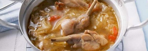 鸽子肉的功效与禁忌