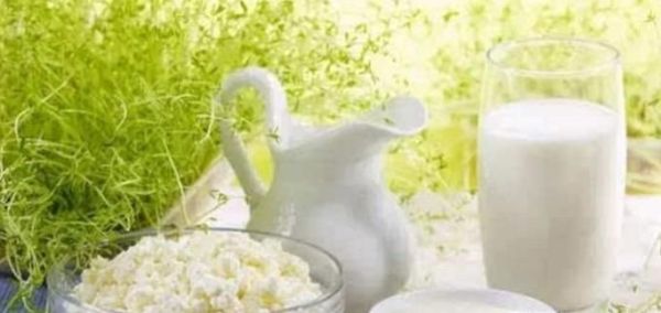 常喝羊奶的好处
