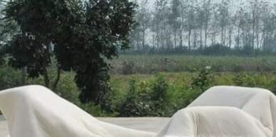 如何消灭螨虫？