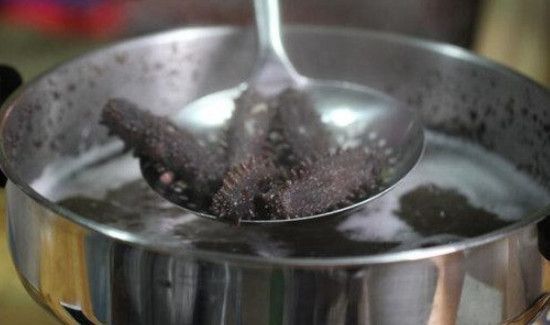 刚买回来的海参怎么处理