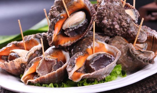 刚买回来的海螺怎么保存