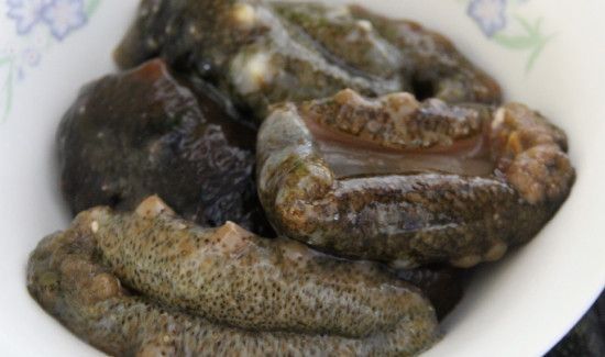 刚买回来的海参怎么处理