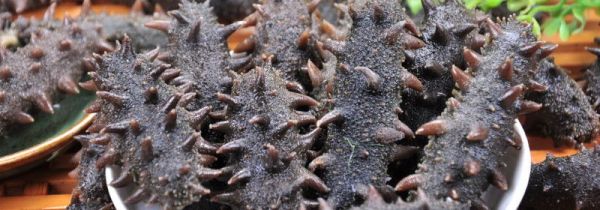 刚买回来的海参怎么处理