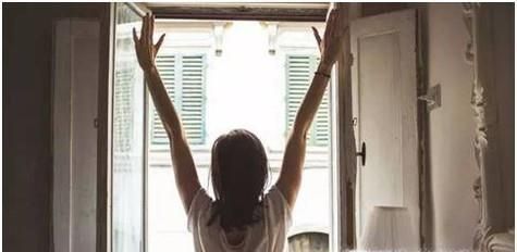 屋里有黑色小飞虫怎么办？